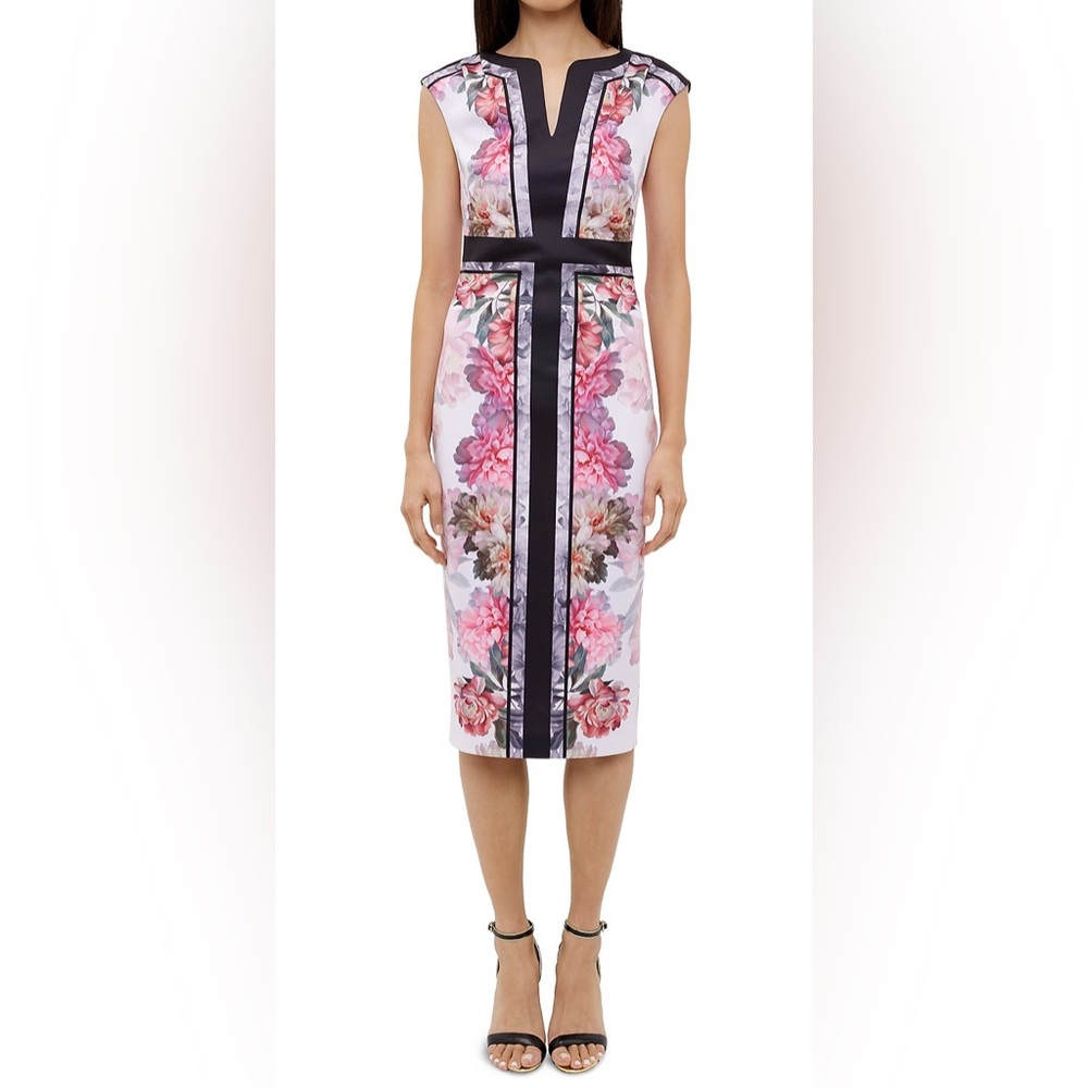 EUC Ted Baker London Shawnee Painted Posie Fitted Midi Dress Floral Sz 4
